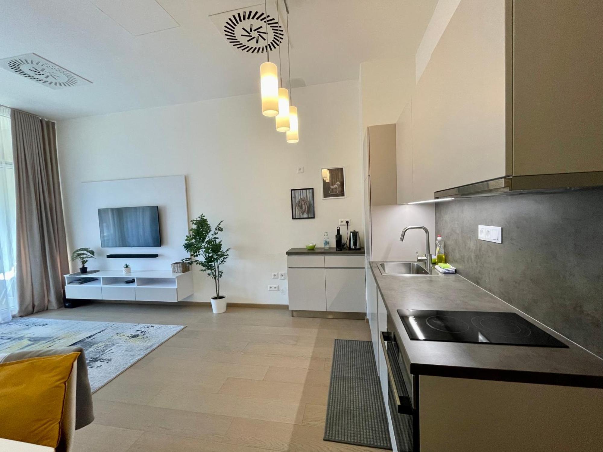 New, Beautiful With Parking In Location! Apartment Pressburg